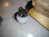 P1010015.JPG